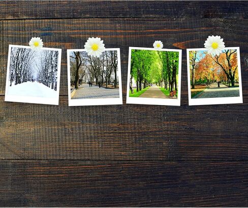 Resin Daisy Flowers Push Pins Set, 30 Pcs Flatback Decorative Daisy Thumb Tack Mini Decorated Daisies Pushpins for Cork Board Bulletin Board Photos Wall Home Office Classroom Decoration (Blue) in Saudi Arabia