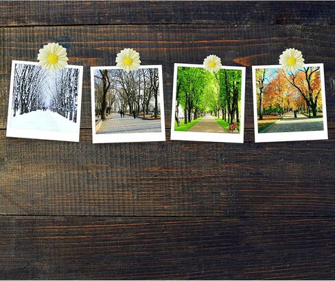 Resin Daisy Flowers Push Pins Set, 30 Pcs Flatback Decorative Daisy Thumb Tack Mini Decorated Daisies Pushpins for Cork Board Bulletin Board Photos Wall Home Office Classroom Decoration (Blue) in Kuwait