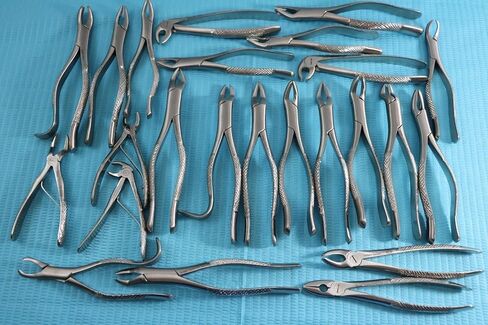 New German Stainless 10 Each EXTRACTING Forceps Extraction Dental Instruments in Saudi Arabia