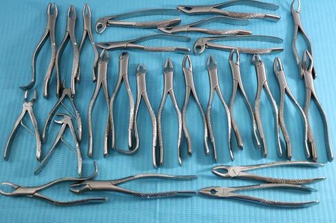 New German Stainless 10 Each EXTRACTING Forceps Extraction Dental Instruments in Saudi Arabia