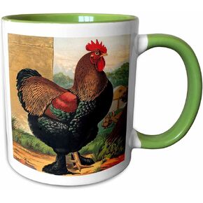 3dRose Vintage Partridge Cochin Rooster، أخضر داكن وبني، كوب أحمر بلونين سعة 11 أونصة in Kuwait
