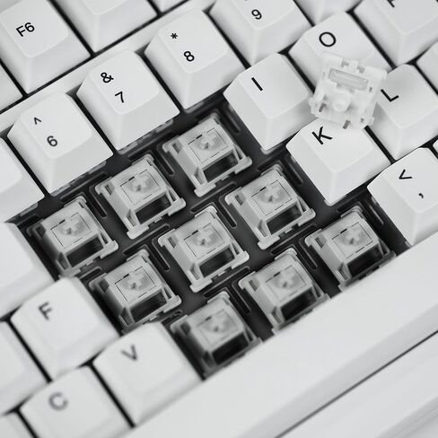مفاتيح لوحة المفاتيح Gateron Smoothie، خطية RGB LED 5 دبابيس بيضاء 22 مم زنبركية مزدوجة المرحلة من المصنع مسبقة التشحيم 40gf مفاتيح POM كاملة للوحة المفاتيح الميكانيكية MX (70 قطعة) in Saudi Arabia