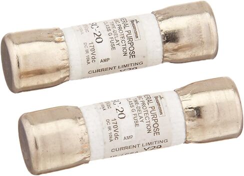 Bussman BP/SC-20 20 Amp 600Vac Class G Time Delay Rejection Fuse 2 Count in Saudi Arabia