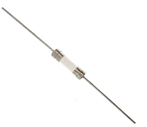 T10AL250V، 10A، 10A Fuse، صمامات الرصاص السيراميكية بطيئة النفخ، 5x20 مم، 10 أمبير 250 فولت، 0.2 بوصة × 0.78 بوصة فيوز تأخير الوقت (40 قطعة) in Kuwait