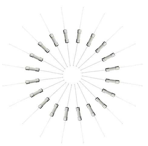 T10AL250V، 10A، 10A Fuse، صمامات الرصاص السيراميكية بطيئة النفخ، 5x20 مم، 10 أمبير 250 فولت، 0.2 بوصة × 0.78 بوصة فيوز تأخير الوقت (40 قطعة) in Kuwait