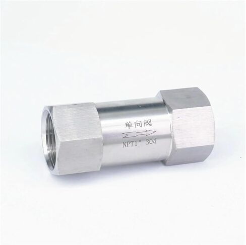 1" NPT Female Thread 304 Stainless Steel Spring Coaxial Check Valve Water Gas Oil Check Valve 64 Bar in Saudi Arabia