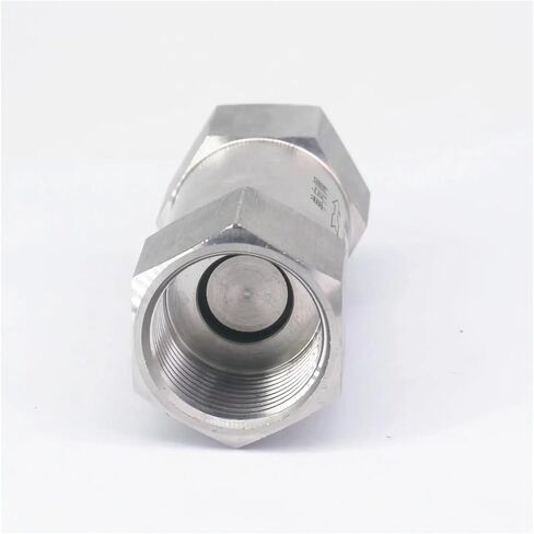 1" NPT Female Thread 304 Stainless Steel Spring Coaxial Check Valve Water Gas Oil Check Valve 64 Bar in Saudi Arabia