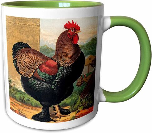 3dRose Vintage Partridge Cochin Rooster, Dark Green and Brown 11oz Two-Tone Red Mug in Saudi Arabia