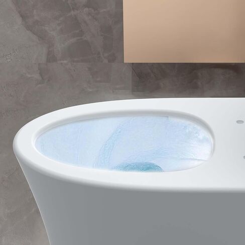 One Piece Elongated Toilet with Top Dual Flush and V Shape Soft Close Seat, Modern Bathroom Toilet for Home and Guest Use in Saudi Arabia