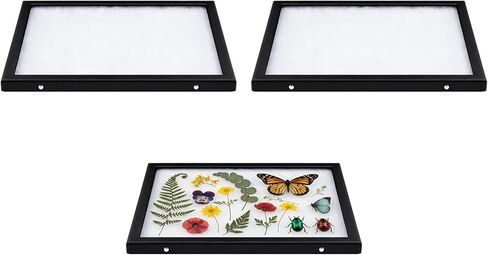 Colingmill 6 Pack 5 x 6 x 3/4 Inch Glass Top Riker Display Cases PU Leather Large Collectibles Display Cases for Collectibles Jewelry Pins Medals in Saudi Arabia