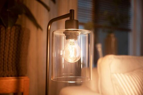 Philips LED Flicker-Free Dimmable Warm Glow Effect A19 Classic Glass Light Bulb, 800 Lumen, 2200-2700K, 8W=60W, E26 Base, Title 20 Certified, Pack of 8 in Saudi Arabia