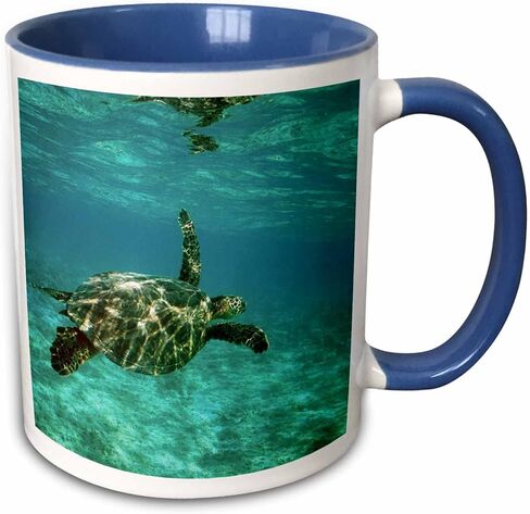 3dRose Green Sea Turtle, Kona Coast, Hawaii - US12 KSC0023 - Kevin Schafer 11oz Two-Tone Blue Mug in Saudi Arabia