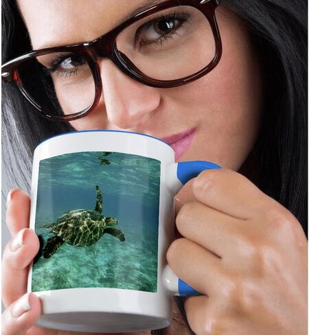 3dRose Green Sea Turtle, Kona Coast, Hawaii - US12 KSC0023 - Kevin Schafer 11oz Two-Tone Blue Mug in Saudi Arabia