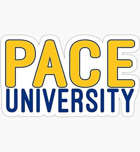 Pace University - Sticker Graphic - Auto, Wall, Laptop, Cell, Truck Sticker for Windows, Cars, Trucks in Saudi Arabia