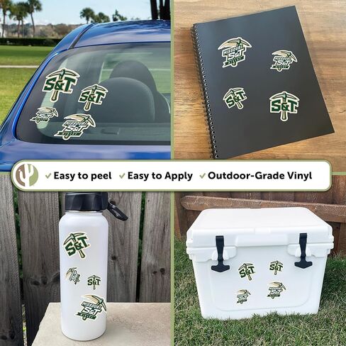 Desert Cactus Missouri University of Science and Technology Sticker MO S&T Miners Vinyl Decals Laptop Water Bottle Car Scrapbook T1 (Type 1-1) in Saudi Arabia