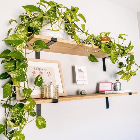 Heavy-Duty Shelf Brackets - Premium Construction Grade 1/4" (6mm) Thick Steel - Matte Black Iron Finish for Modern Farmhouse Rustic Open Shelving w/ Hardware, 4-Pack (L Bracket w/Lip, 11.25"x6") in Saudi Arabia