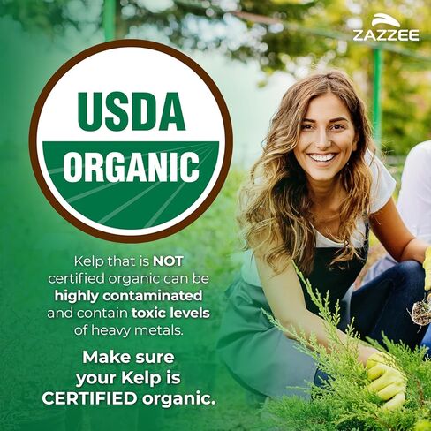 Zazzee USDA Organic Kelp Iodine 30:1 Extract, 300 mcg per Capsule, 120 Vegan Capsules, 4 Month Supply, Ocean-Harvested Norwegian Kelp, Standardized to 1% Iodine for Exact Dosage, Thyroid Support in Saudi Arabia