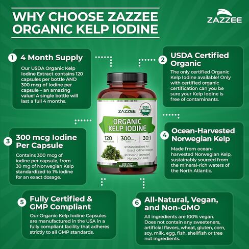 Zazzee USDA Organic Kelp Iodine 30:1 Extract, 300 mcg per Capsule, 120 Vegan Capsules, 4 Month Supply, Ocean-Harvested Norwegian Kelp, Standardized to 1% Iodine for Exact Dosage, Thyroid Support in Saudi Arabia