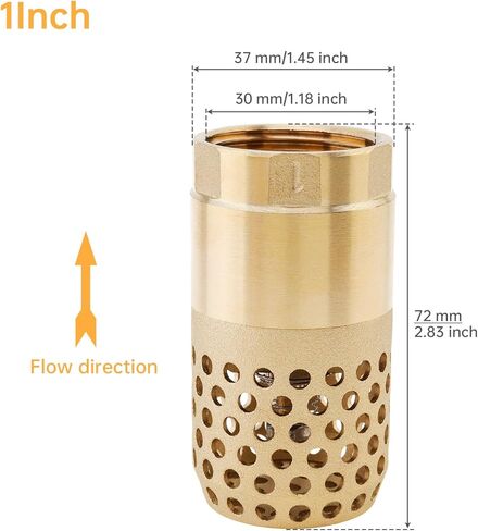 1 Inch Brass Foot Valve, BSP DN25 Spring Mesh Check Valve Backflow Preventer for Water Tanks, Irrigation Pumps in Saudi Arabia