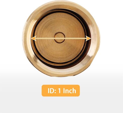 1 Inch Brass Foot Valve, BSP DN25 Spring Mesh Check Valve Backflow Preventer for Water Tanks, Irrigation Pumps in Saudi Arabia