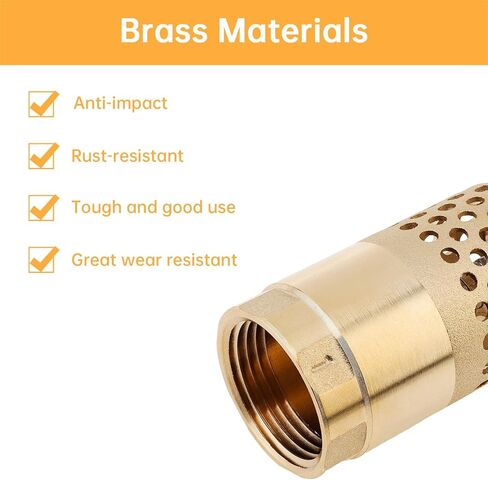 1 Inch Brass Foot Valve, BSP DN25 Spring Mesh Check Valve Backflow Preventer for Water Tanks, Irrigation Pumps in Saudi Arabia