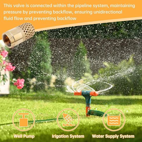 1 Inch Brass Foot Valve, BSP DN25 Spring Mesh Check Valve Backflow Preventer for Water Tanks, Irrigation Pumps in Saudi Arabia