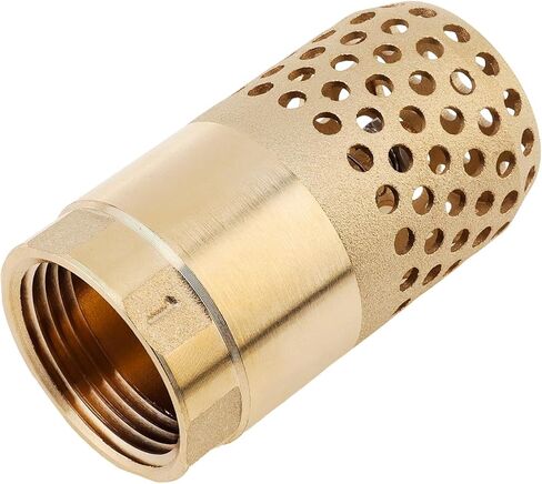 1 Inch Brass Foot Valve, BSP DN25 Spring Mesh Check Valve Backflow Preventer for Water Tanks, Irrigation Pumps in Saudi Arabia