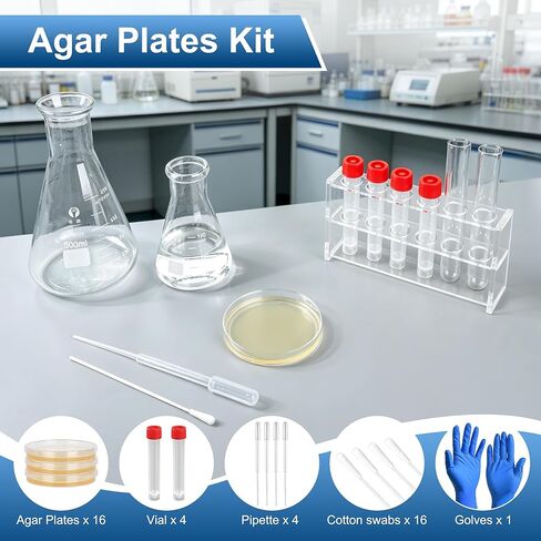 Nutrient Agar Petri Dishes Science Project Kit,16Pcs Nutrient Agar Plates and Cotton Swabs Dropper Pipettes for Science Experiments in Saudi Arabia