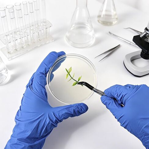 Nutrient Agar Petri Dishes Science Project Kit,16Pcs Nutrient Agar Plates and Cotton Swabs Dropper Pipettes for Science Experiments in Saudi Arabia