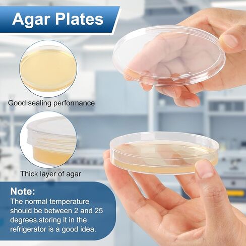 Nutrient Agar Petri Dishes Science Project Kit,16Pcs Nutrient Agar Plates and Cotton Swabs Dropper Pipettes for Science Experiments in Saudi Arabia