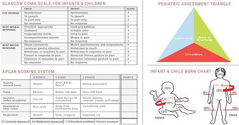 2026 Updated PALS Pediatric Advanced Life Support Emergency Length-Based Tape with Broselow Compatible Color Zones Designed for Paramedics, Nurses & EMS Providers in Saudi Arabia