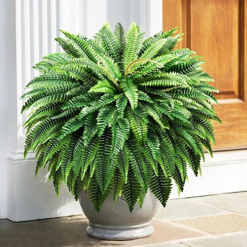 Suntee 48 "سرخس اصطناعي كبير 2 حزمة، نبات سرخس بوسطن وهمية واقعية مع 100 سعفة قابلة للانحناء، مقاومة للأشعة فوق البنفسجية صفر صيانة بوش فو للحديقة في الهواء الطلق فناء الشرفة غرفة المعيشة ديكور المنزل in Kuwait