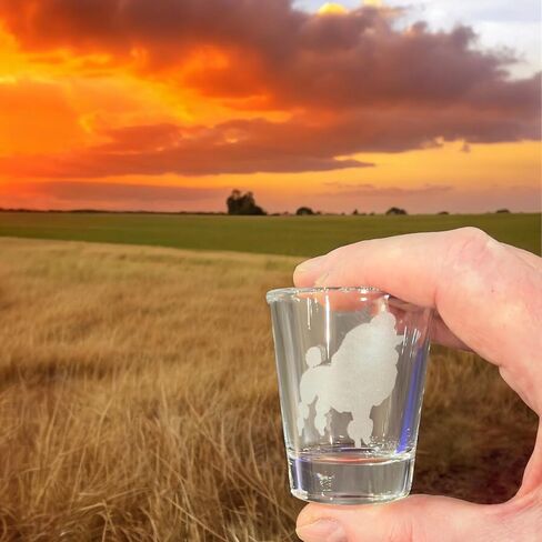 Hip Flask Plus 2oz Poodle dog puppy Shot Glass Engraved pet supplies in Saudi Arabia
