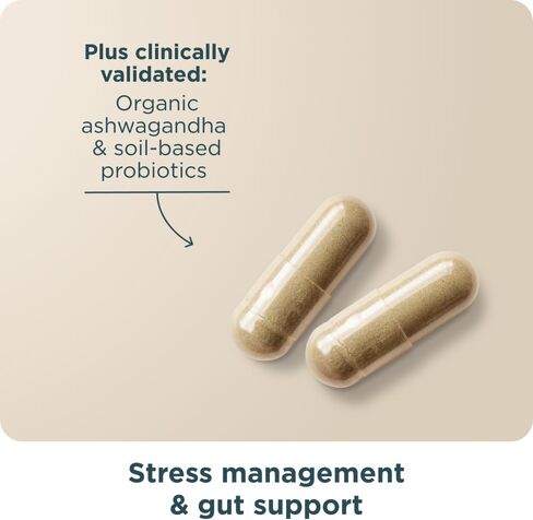 Ancient Nutrition Active Peptides Magnesium Capsules, Bioavailable Magnesium Bisglycinate & Citrate, Liposomal Magnesium Oxide, Supports Sleep Quality & Stress Support, 90 Count in Saudi Arabia