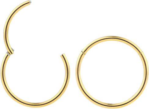 365 Sleepers 2PCS 20G Surgical Steel 6mm - 10mm Hinged Hoop Segment Septum Cartilage Helix Tragus Lip Eyebrow Nose Ring Sleeper Earrings in Saudi Arabia