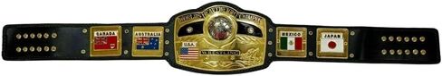 نسخة جديدة طبق الأصل NWA Dome الولايات المتحدة الأمريكية حزام مقاس الكبار، لوحات معدنية in Saudi Arabia