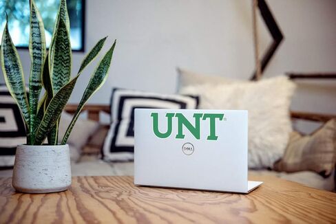 North Texas Sticker University of North Texas Car Decal Mean Green Block UNT Letters Logo Heavy-Duty Official NCAA Collegiate Vinyl for Bumpers, Windows, Laptops, Drink Tumblers in Saudi Arabia
