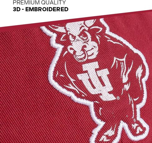 قبعة بيسبول جامعة صبار الصحراء إنديانا Hoosiers Bloomington قبعات مطرزة ذات حواف قبعة قابلة للتعديل بحزام قماش للبالغين (نمط R1 عتيق) أحمر in Saudi Arabia