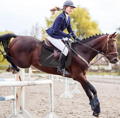 Breathable Saddle Pad with Shock-Absorbing Cushion, Prevents Equine Injuries, Hypoallergenic Foam Layer Enhances Horse Comfort, Professional Equestrian Gear, Black in Saudi Arabia