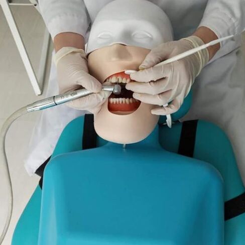 نموذج التدريس، محاكي الأسنان، نموذج رأس تعليم الأسنان، نموذج MDental مع جهاز محاكاة تدريب الأسنان على الجسم لتعليم طبيب الأسنان، ممارسة المساعدة in Saudi Arabia