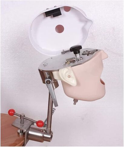 Teaching Model,Dental Phantom Head Dental Simulator Phantom Head Training Head Model for Training in Saudi Arabia