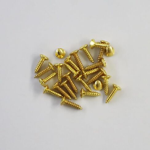 #4 x 1/2 inch Phillips Pickguard Mounting Screws for Electric Guitar & Bass | Universal Fit for Standard Strat/Tele/LP/SG Style Guitars | Pack of Golden 25PCS in Saudi Arabia