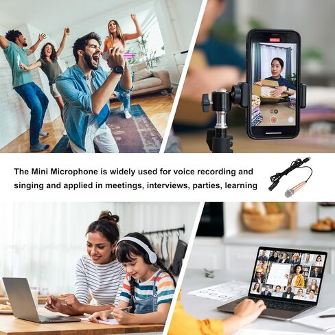 MECCANIXITY 3 قطع ميكروفون صغير، ميكروفون صغير للهاتف من النوع C ميكروفون صغير مع دعامة، غطاء إسفنجي لتسجيل صوت الهاتف، ذهبي/وردي فاقع/أزرق in Saudi Arabia