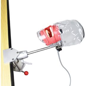 Teaching Model,Dental Simulator Head, Dental Teaching Head Model, Manikin Phan Head, Dental Phan Head Model Bench Mount for Dentist Teaching Education in Saudi Arabia