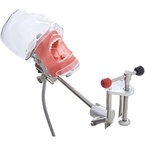 Teaching Model,Dental Simulator Manikin Phantom Teaching Head Model Plastic Educational Dental Teeth Model Manikin Phantom Head Models Fix on Table in Saudi Arabia