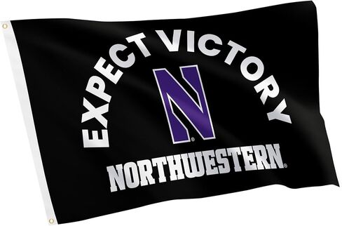 Desert Cactus Northwestern University Flag - 3 x 5 Feet NU Wildcats Banner, Indoor/Outdoor Durable Fabric Display (Style H) in Saudi Arabia
