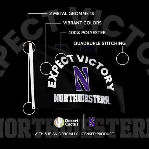 Desert Cactus Northwestern University Flag - 3 x 5 Feet NU Wildcats Banner, Indoor/Outdoor Durable Fabric Display (Style H) in Saudi Arabia