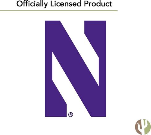 Desert Cactus Northwestern University Flag - 3 x 5 Feet NU Wildcats Banner, Indoor/Outdoor Durable Fabric Display (Style H) in Saudi Arabia