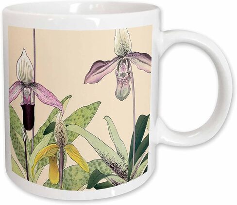 كوب 3dRose الوردي والأصفر Cypripedium Orchids أو Lady Slipper Orchids 11oz in Saudi Arabia