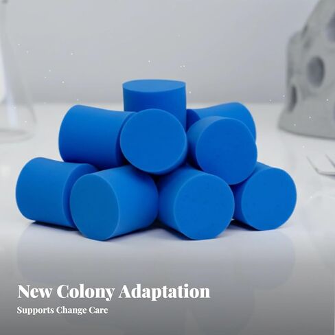 10Pcs ANT Farm Plugs ANT Farm Test Tube Sponge Plug Tool Accessories Test Tube Plug Feeding Blue 15mm 18mm Stopper ANT Habitat, Diameter 15mm in Kuwait